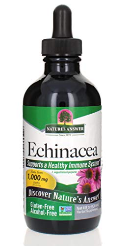 Algopix Similar Product 14 - Natures Answer AlcoholFree Echinacea