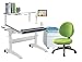Algopix Similar Product 11 - Posturedesks Jayden crank adjustable