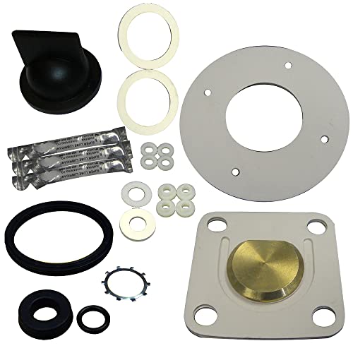 Algopix Similar Product 2 - RARITAN PH PHE REPAIR KIT FOR MODELS