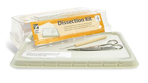 Algopix Similar Product 18 - American Educational Economy Dissection
