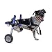 Algopix Similar Product 7 - Walkin Wheels Dog Wheelchair  for