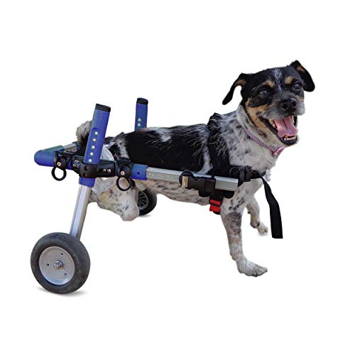Algopix Similar Product 13 - Walkin Wheels Dog Wheelchair  for