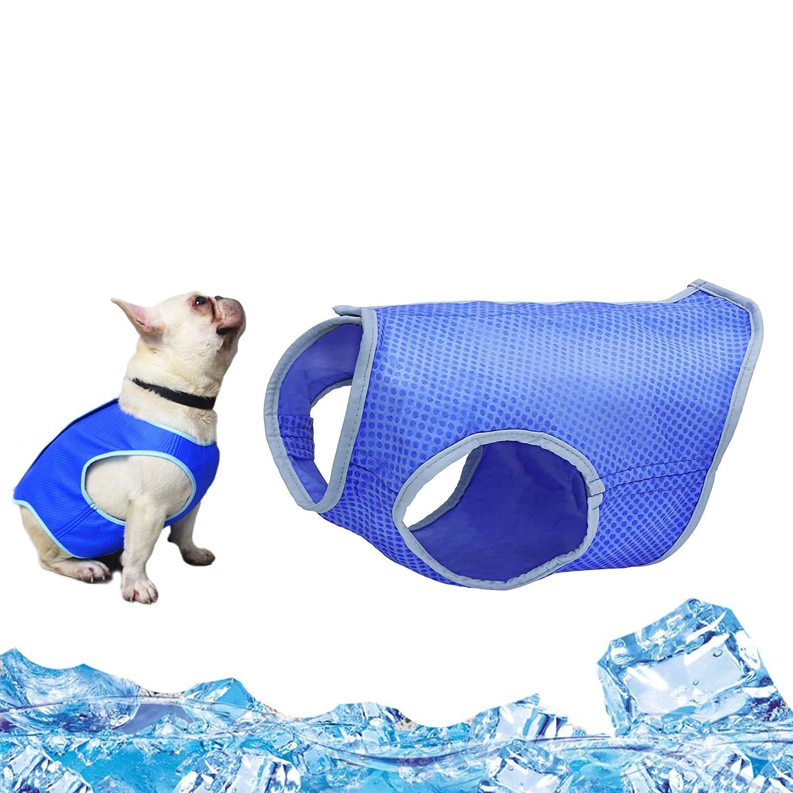 Algopix Similar Product 13 - Kurgo Carrier KeeperTm Pet Crate