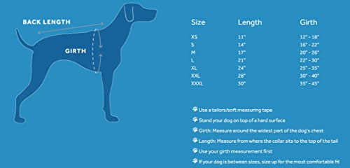 Algopix Similar Product 7 - RC Pet Products Price Incorrect Cartoon