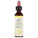 Algopix Similar Product 20 - Nelson Bach Flower Hornbeam, 0.70 Fl Oz