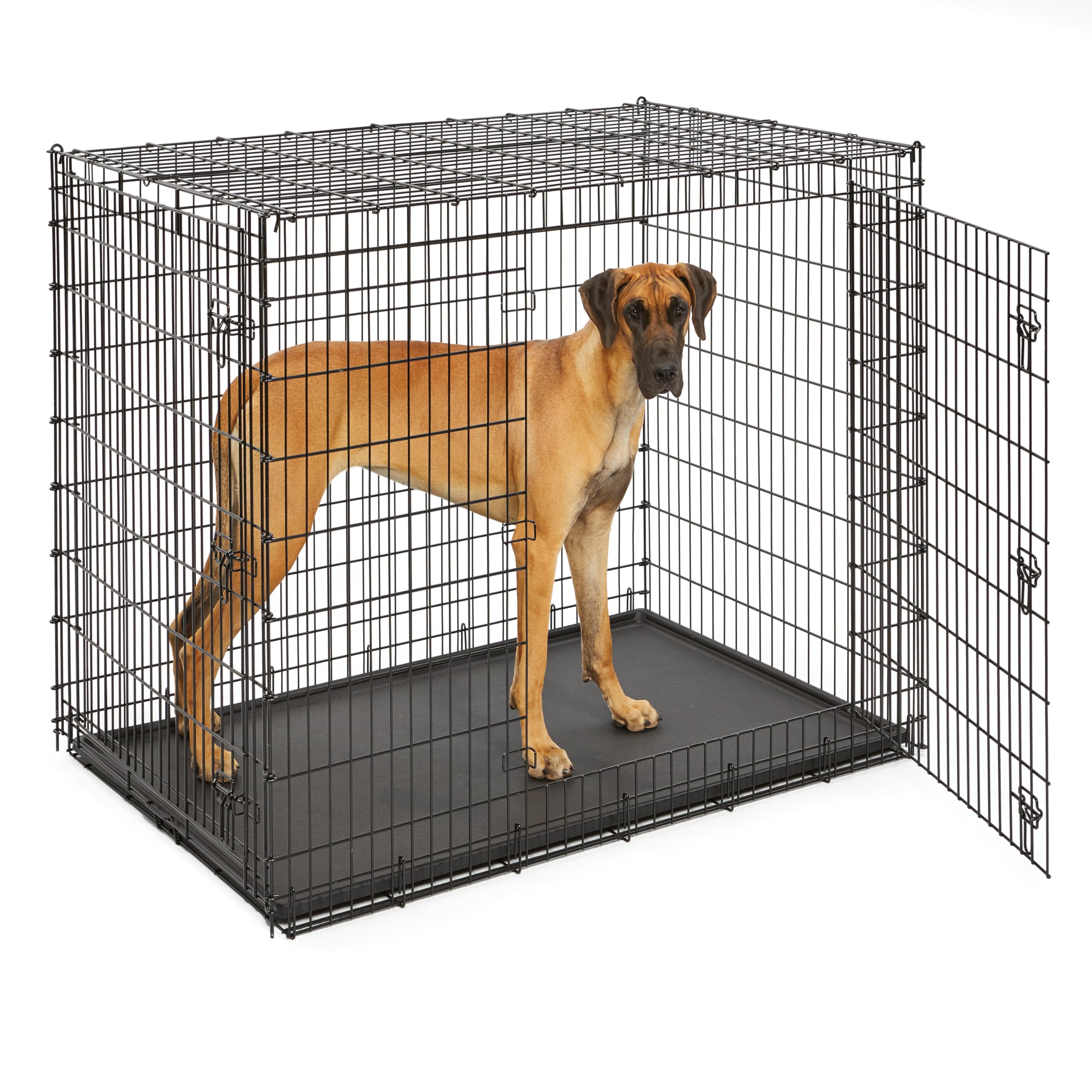 Algopix Similar Product 5 - Midwest Homes for Pets Ginormous Double