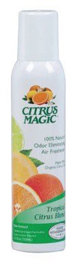 Algopix Similar Product 1 - Citrus Magic Tropical Citrus Scent Air