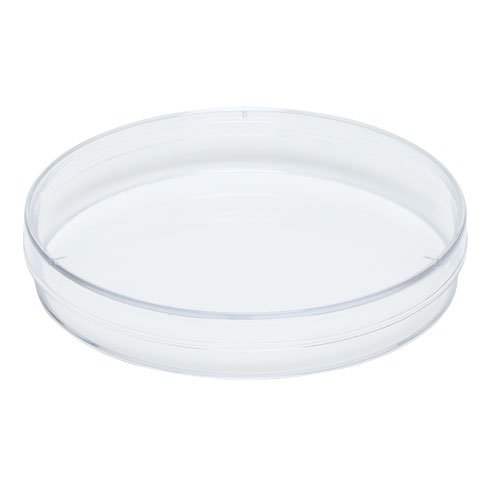 Algopix Similar Product 7 - Plastic Petri Dish 150x15mm