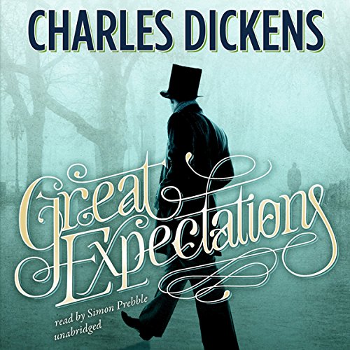 Algopix Similar Product 4 - Great Expectations