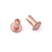 Algopix Similar Product 12 - 1/16" Dia. 1/8" Long Copper Rivet