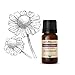 Algopix Similar Product 19 - Alteya USDA Certified Organic Roman