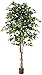 Algopix Similar Product 4 - Nearly Natural 6ft. Ficus Silk Tree