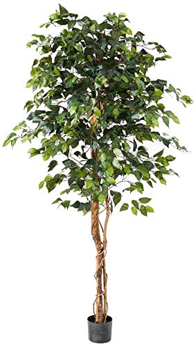 Algopix Similar Product 13 - Nearly Natural 6ft. Ficus Silk Tree