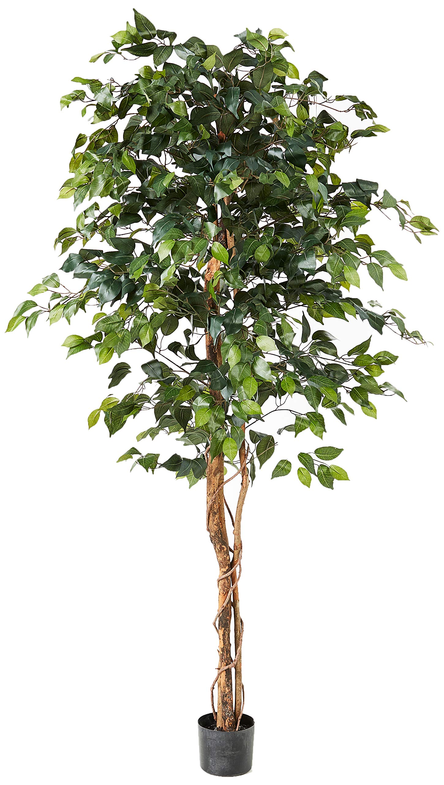 Algopix Similar Product 11 - Nearly Natural 6ft. Ficus Silk Tree