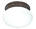 Algopix Similar Product 5 - NUVO SF76600 One Light Mushroom Flush