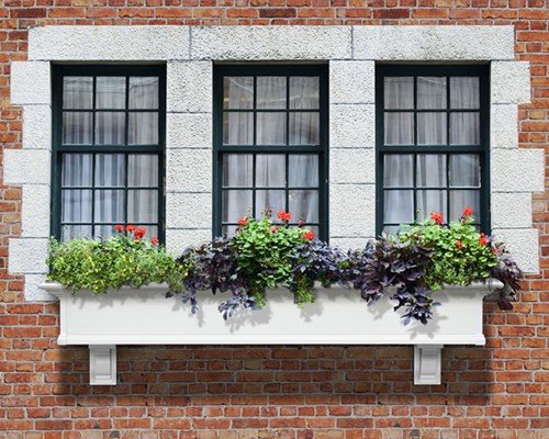 Algopix Similar Product 6 - Mayne Yorkshire II 72 Window Box Combo