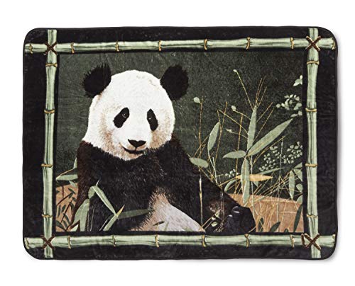 Algopix Similar Product 12 - SHAVEL High Pile Blanket
