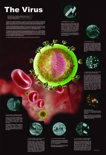 Algopix Similar Product 6 - American Educational The Virus Poster