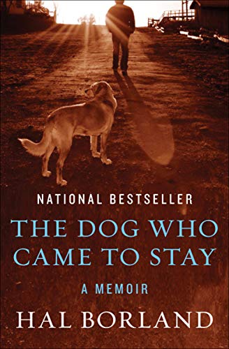 Algopix Similar Product 6 - The Dog Who Came to Stay: A Memoir