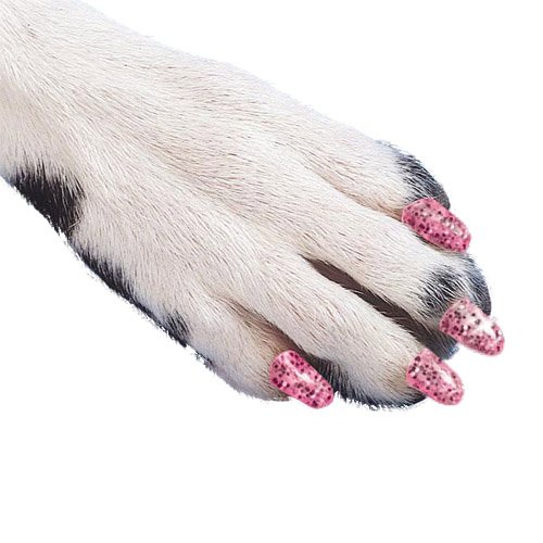 Algopix Similar Product 15 - Soft Claws Dog and Cat Nail Caps Take