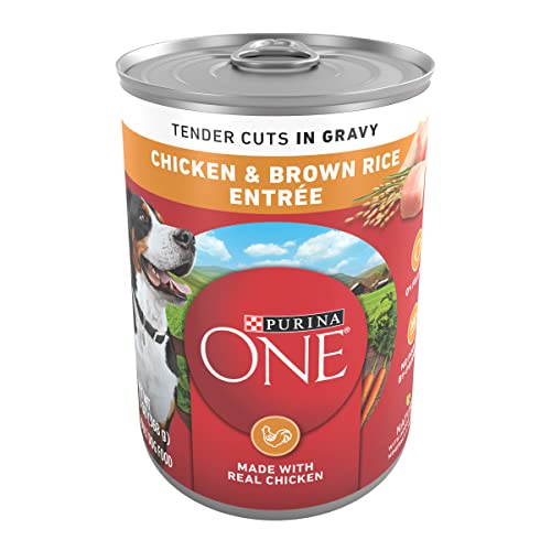 Algopix Similar Product 17 - Purina ONE Tender Cuts in Wet Dog Food