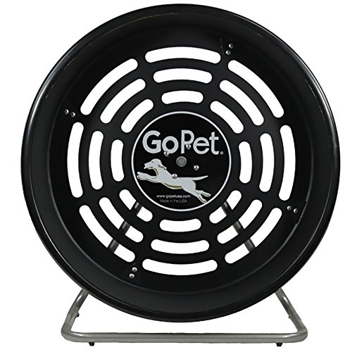 Algopix Similar Product 4 - GoPet Treadwheel for Small Dogs