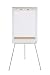 Algopix Similar Product 3 - BiOffice Earth Tripod Easel Non