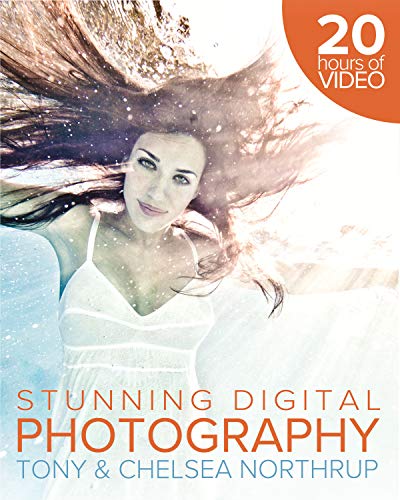 Algopix Similar Product 4 - How to Create Stunning Digital