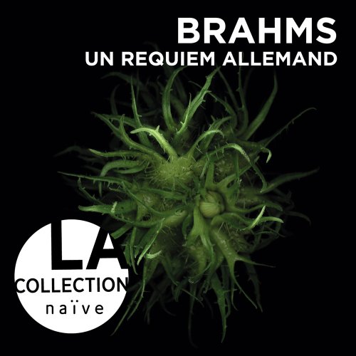 Algopix Similar Product 11 - Brahms: Ein Deutsches Requiem
