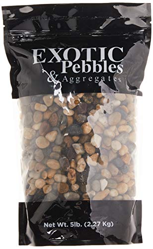 Algopix Similar Product 11 - Exotic Pebbles PMS0510 Polished Gravel