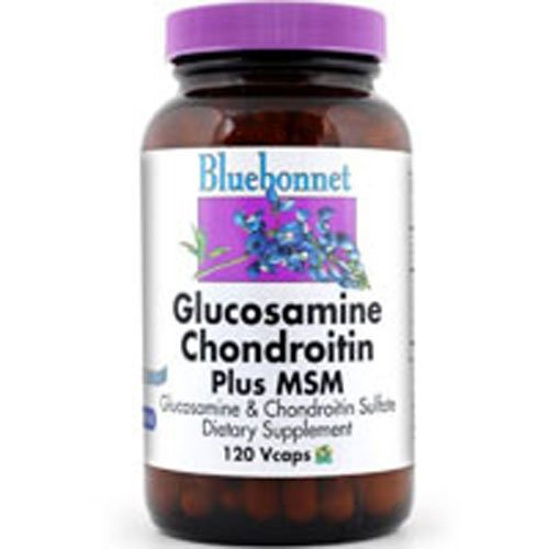 Algopix Similar Product 3 - Glucosamine Chondroitin Plus MSM 120