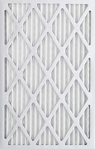 Algopix Similar Product 8 - Nordic Pure 14x25x1 MERV 10 Pleated AC
