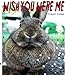 Algopix Similar Product 11 - Wish You Were Me
