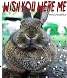 Algopix Similar Product 3 - Wish You Were Me