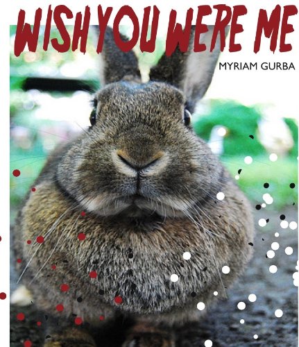Algopix Similar Product 4 - Wish You Were Me