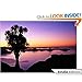 Algopix Similar Product 1 - A Bright New Dawn: Let the Journey Begin