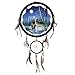 Algopix Similar Product 18 - OBI Wolf Dream Catchers (Howling Wolf)