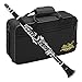 Algopix Similar Product 15 - Jean Paul USA CL300 Student Clarinet B