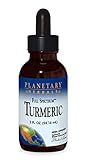 Algopix Similar Product 8 - Planetary Herbals Turmeric Extract