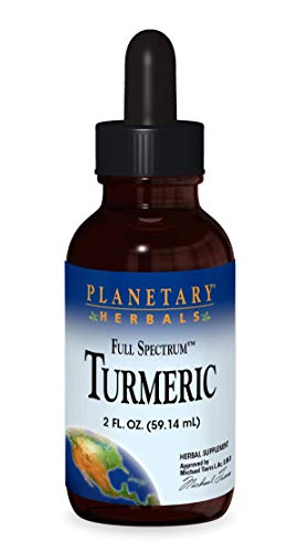 Algopix Similar Product 8 - Planetary Herbals Turmeric Extract