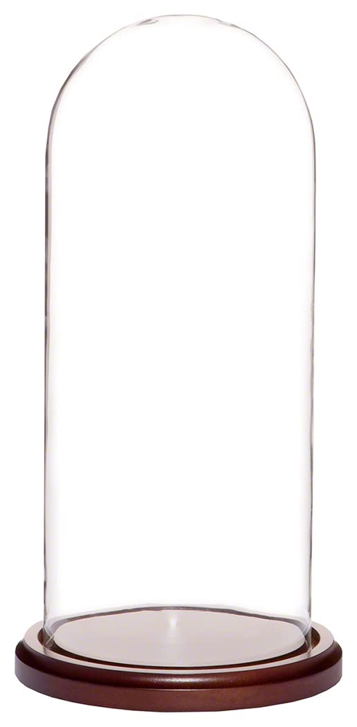 Algopix Similar Product 1 - Plymor 55 x 13 Glass Display Dome
