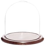 Algopix Similar Product 19 - Plymor 975 x 10 Glass Display Dome