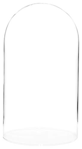 Algopix Similar Product 18 - Plymor 55 x 10 Glass Display Dome