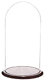 Algopix Similar Product 8 - Plymor 1175 x 23 Glass Display Dome