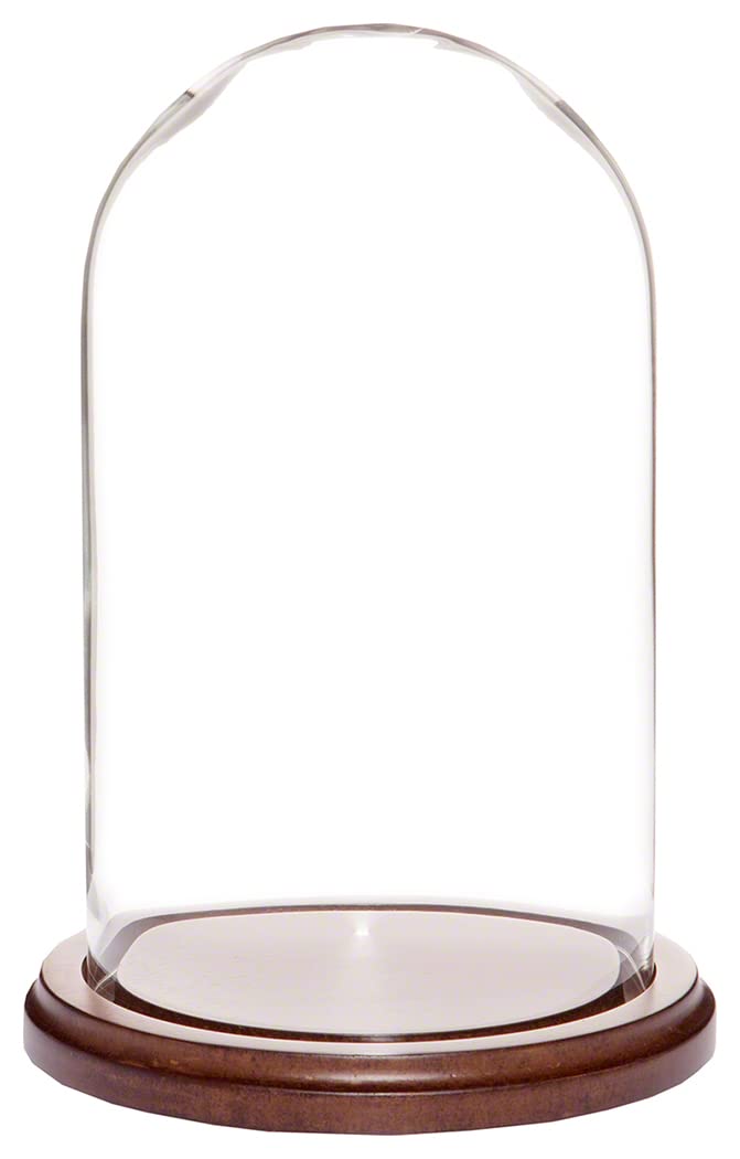 Algopix Similar Product 19 - Plymor 45 x 8 Glass Display Dome