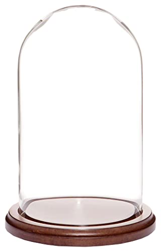 Algopix Similar Product 11 - Plymor 45 x 8 Glass Display Dome