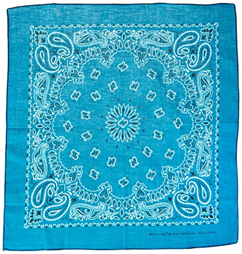 Algopix Similar Product 13 - CottonPolyester Paisley Dog Bandana