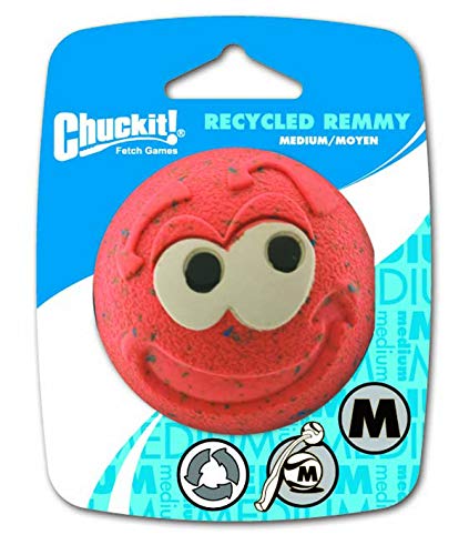 Algopix Similar Product 3 - ChuckIt! Recycled Remmy Ball Medium