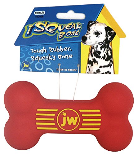 Algopix Similar Product 1 - JW Isqueak Bone Toy Medium