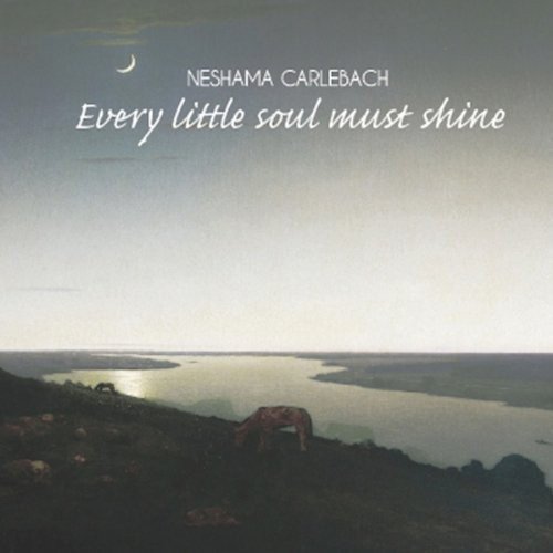 Algopix Similar Product 17 - Every Little Soul Must Shine